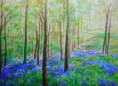 /album/galerie-de-photos-arbres/jacinthes-des-bois-jpg1/